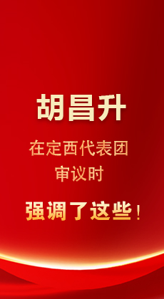 【聚焦2026甘肃两会】胡昌升在定西代表团审议时强调了这些！