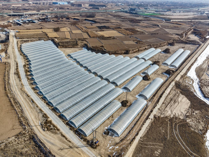 椭圆钢骨架塑料大棚。榆中县委宣传部供图