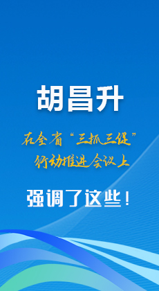 图解|胡昌升在全省“三抓三促”行动推进会议上强调了这些！