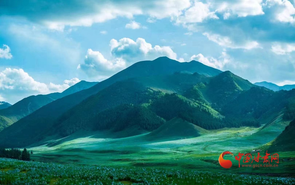 雄峙祁连守青绿 生态赋能启新程