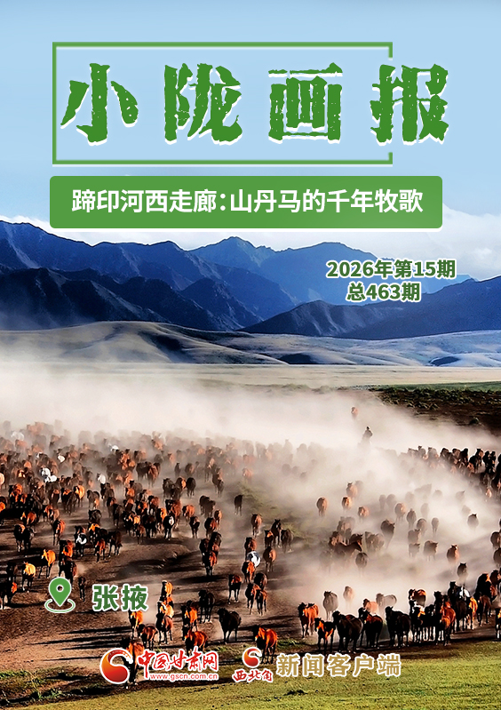 【小陇画报·463期】蹄印河西走廊：山丹马的千年牧歌