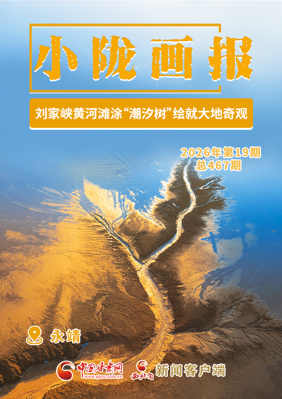 【小陇画报·467期】刘家峡黄河滩涂“潮汐树”绘就大地奇观