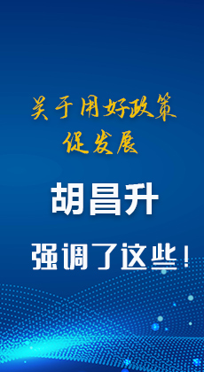 图解|关于用好政策促发展 胡昌升强调了这些！