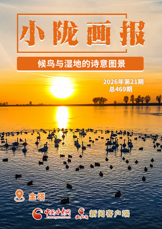 【小陇画报·469期】金塔:候鸟与湿地的诗意图景
