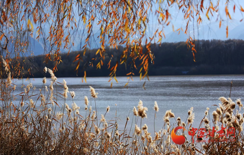 陇原春动·陇拍客丨永靖春日 万物有声