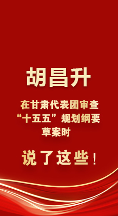 图解|胡昌升在甘肃代表团审查“十五五”规划纲要草案时说了这些！