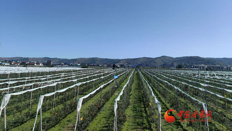 科技赋能 甘肃寒旱农业发展再添新动能