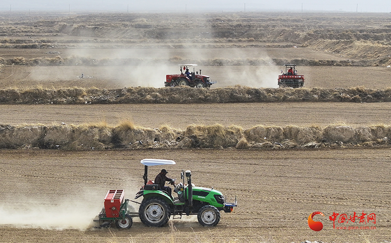 民乐：田间地头忙春耕