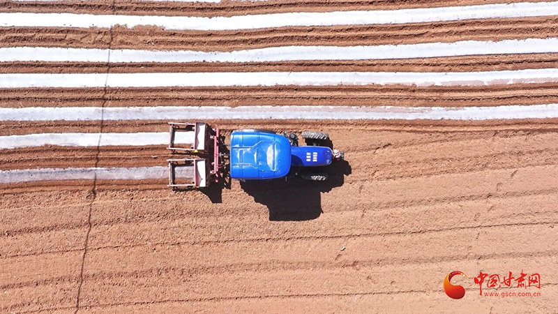 武都：春潮涌动“耕”新忙