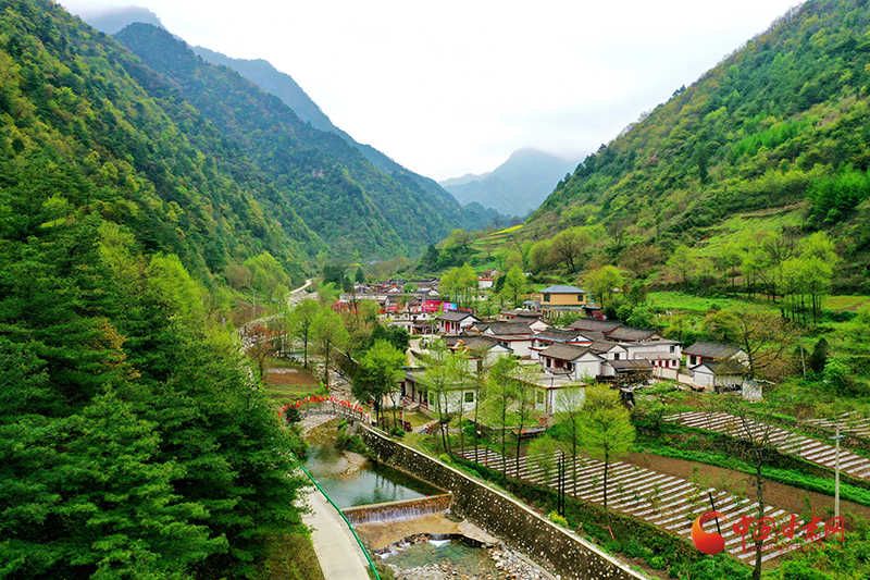 武都：发展“五小产业”拓宽群众增收路径