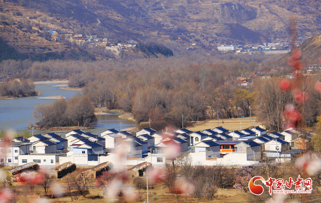 春动陇原丨岷县：春花灼灼 洮水民居入画来