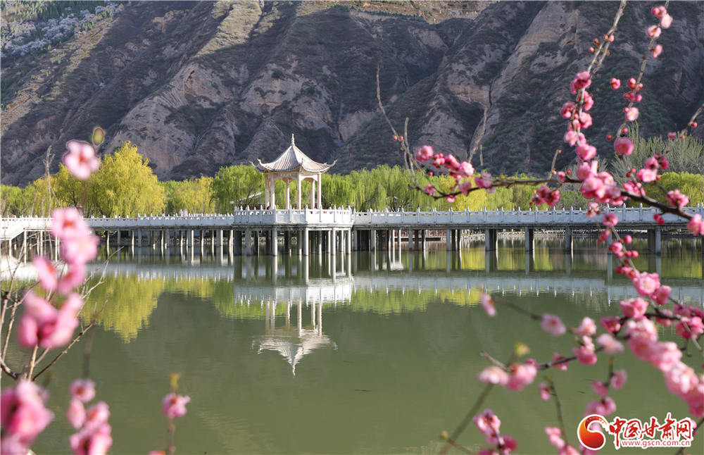 春动陇原·陇拍客丨风过大像山 携来一个春天