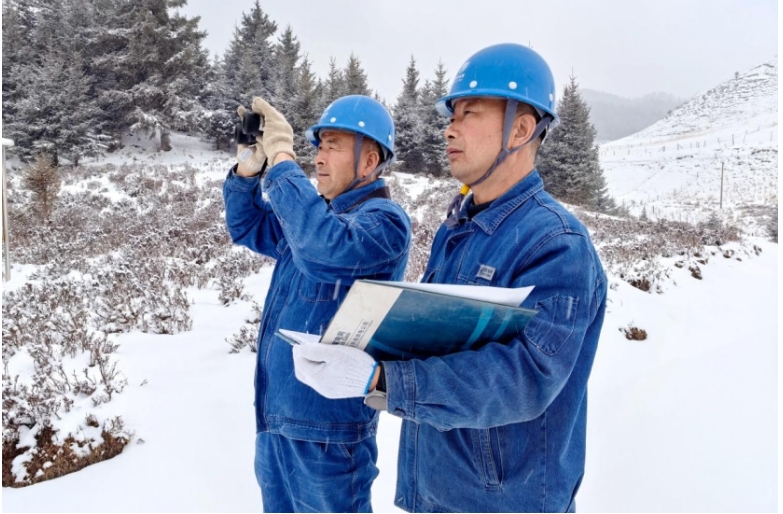 国网甘肃省电力：护线爱鸟守生态 绿电护航陇原春