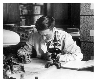 探珠峰南极 织沙漠“绿毯”