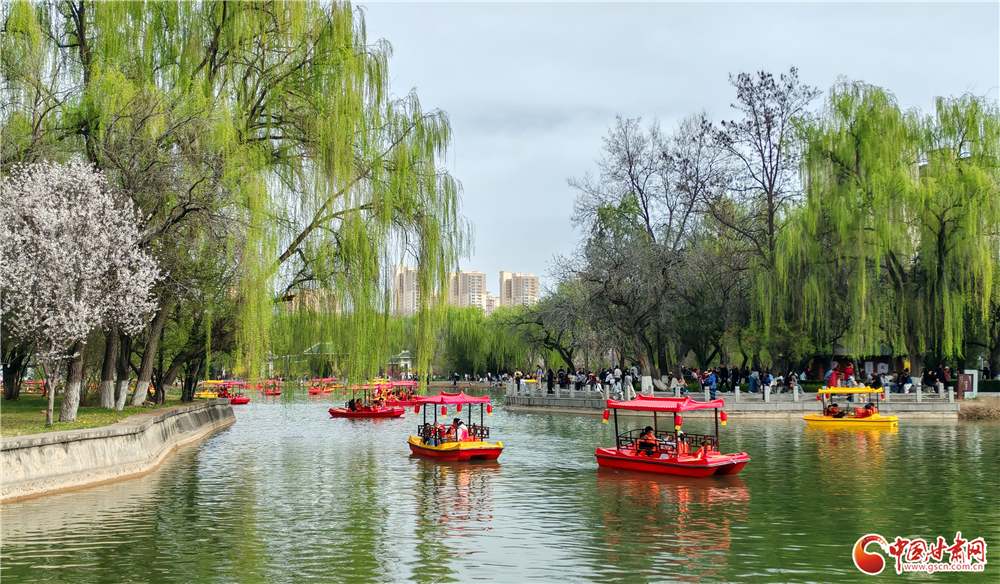 高清组图丨金城清明好风光 花映黄河游人醉