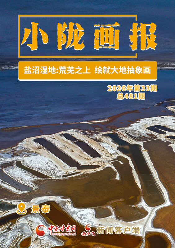 【小陇画报·481期】景泰盐沼湿地：荒芜之上 绘就大地抽象画