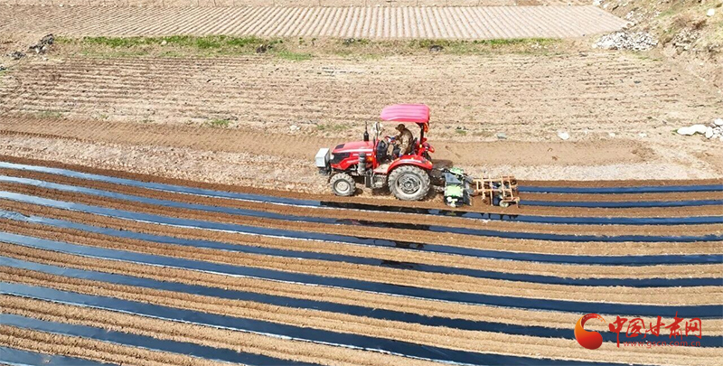 漳县：抢抓春耕好时节 稳粮兴药富乡邻