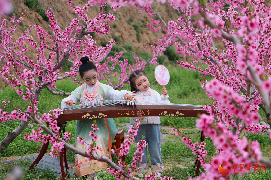 组图|秦安桃花会：谁把春天的浪漫藏进这片桃林里