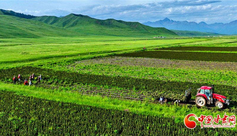 甘肃面向全社会公开征集交旅融合经典品牌与精品路线