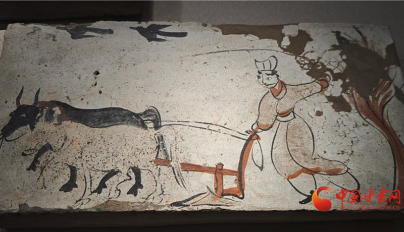 千年墓砖藏春讯：解码魏晋河西走廊的农耕基因