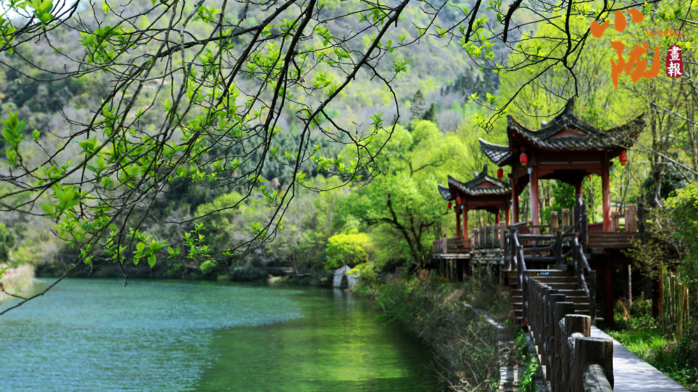 【小陇画报·485期】春染康县 半村流水半村花