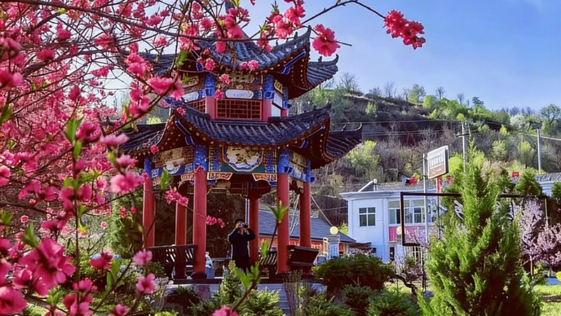 灵台：春日经济焕生机 农文旅融合促增收