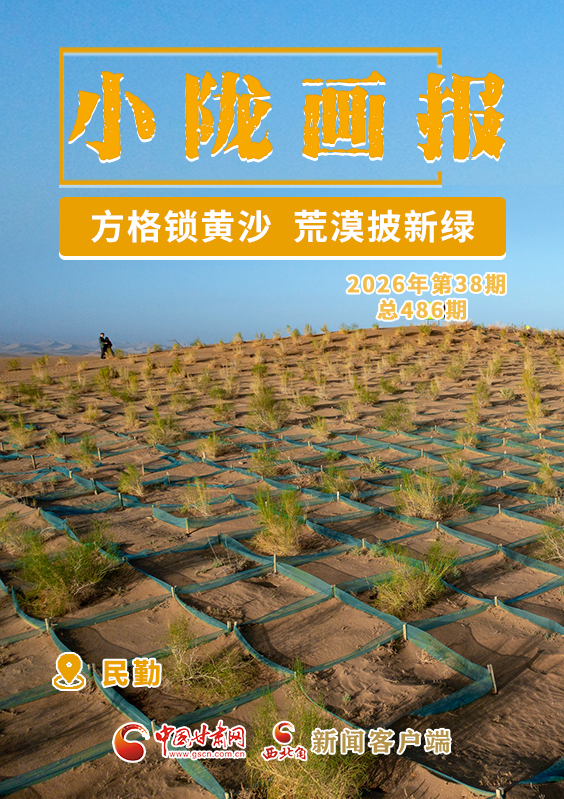 【小陇画报·486期】民勤：方格锁黄沙 荒漠披新绿