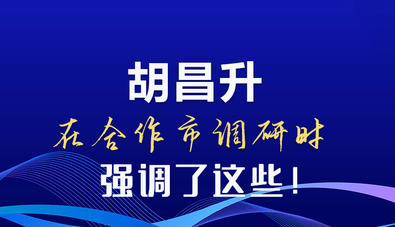 图解|胡昌升在合作市调研时强调了这些！