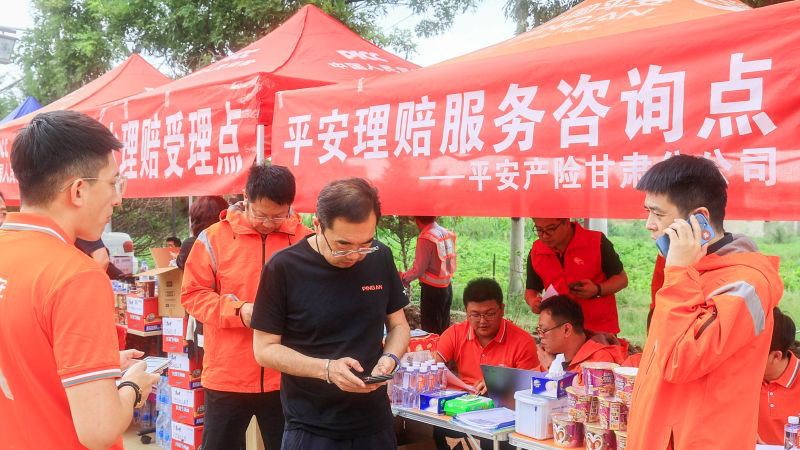 “十四五”时期平安产险甘肃分公司高质量发展巡礼