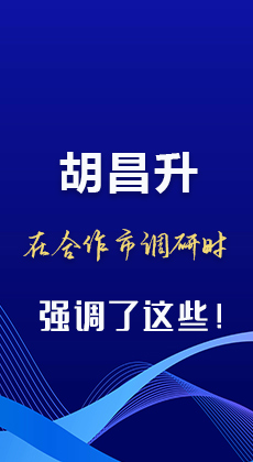 图解|胡昌升在合作市调研时强调了这些！
