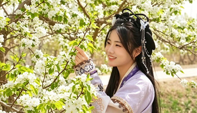 金塔：千亩梨花绽放 催热“花经济”