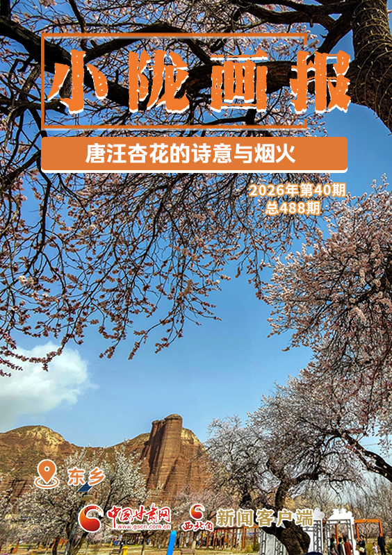 【小陇画报·488期】东乡：唐汪杏花的诗意与烟火
