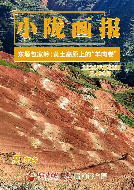 【小陇画报·490期】东乡东塬包家岭：黄土高原上的“羊肉卷”