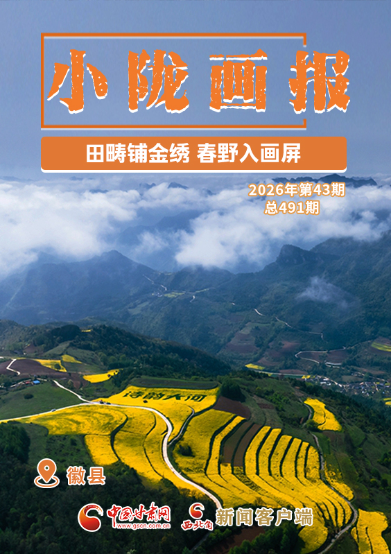 【小陇画报·491期】徽县：田畴铺金绣 春野入画屏
