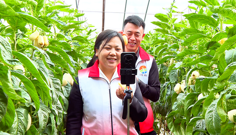 高台:电商赋能乡村 直播助农增收