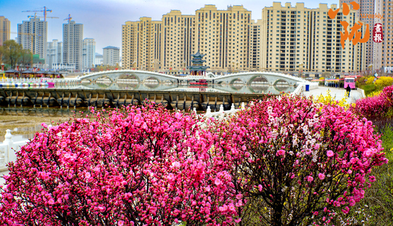 【小陇画报·496期】走进康乐:邂逅山水间的天然清凉