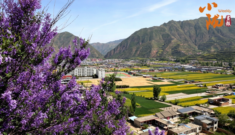【小陇画报·498期】武山：花漫山村织成诗 五月滩歌入画来