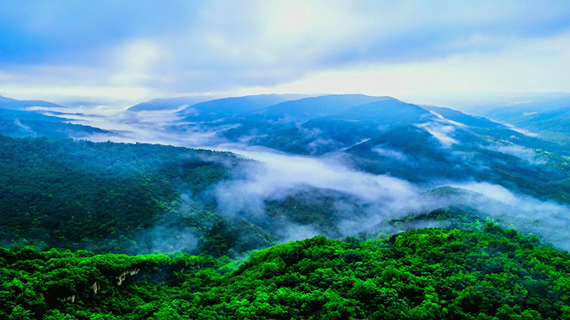 宁县：绿水青山入画来