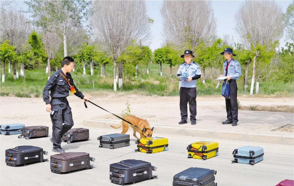 全省公安机关警犬技术比赛举行