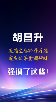 图解|胡昌升在省生态环境厅省发展改革委调研时强调了这些！
