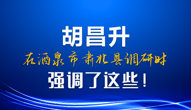 图解|胡昌升在酒泉市肃北县调研时强调了这些！