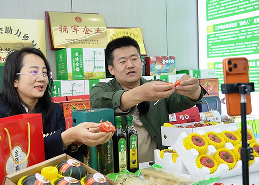 金塔：从田间到餐桌 一位返乡青年的致富链