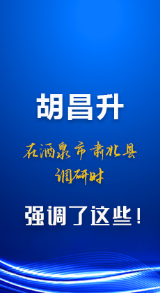 图解|胡昌升在酒泉市肃北县调研时强调了这些！