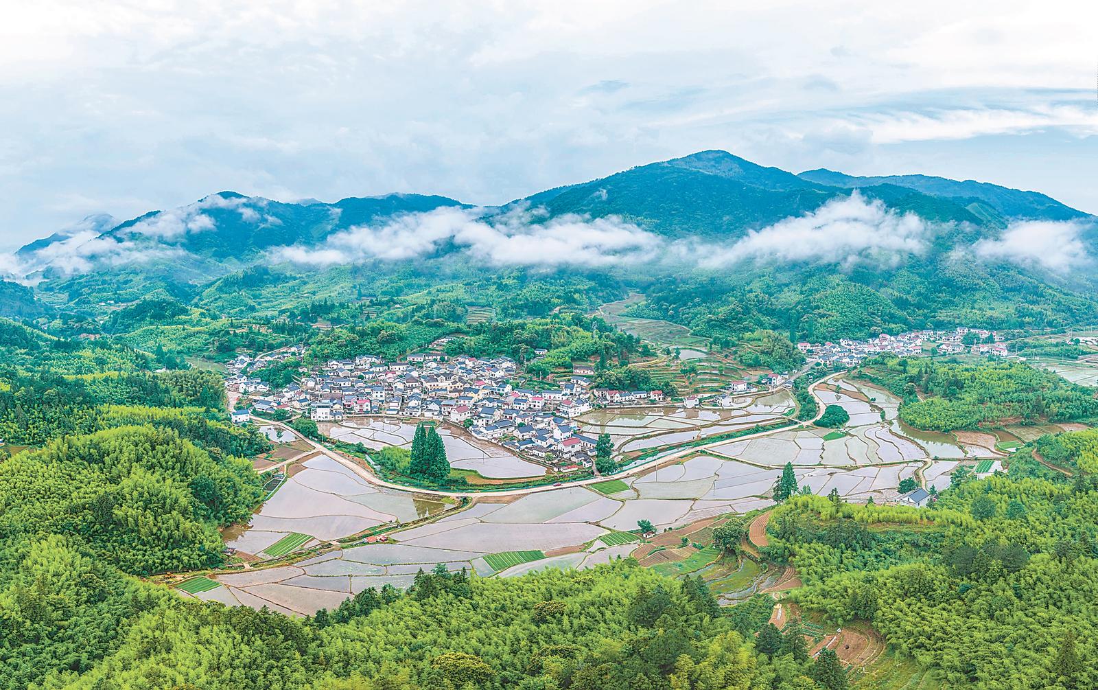 田园