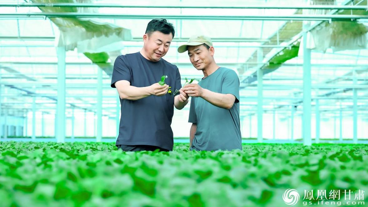 甘肃省张掖市甘州区党寨镇马站村党总支书记马兆存(左)在大棚内查看菜苗长势 李德宇 摄