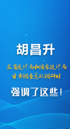 图解 |胡昌升在省统计局和国家统计局甘肃调查总队调研时强调了这些！