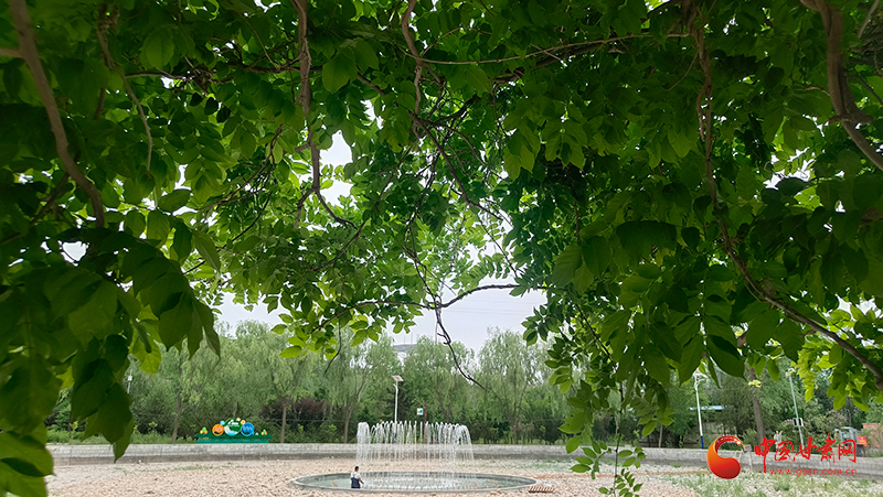静宁：持续擦亮宜居城市底色惠民生