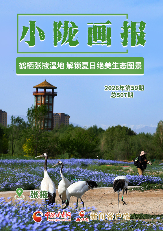 【小陇画报·507期】鹤栖张掖湿地 解锁夏日绝美生态图景