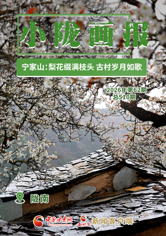 【小陇画报·510期】陇南宁家山：梨花缀满枝头 古村岁月如歌