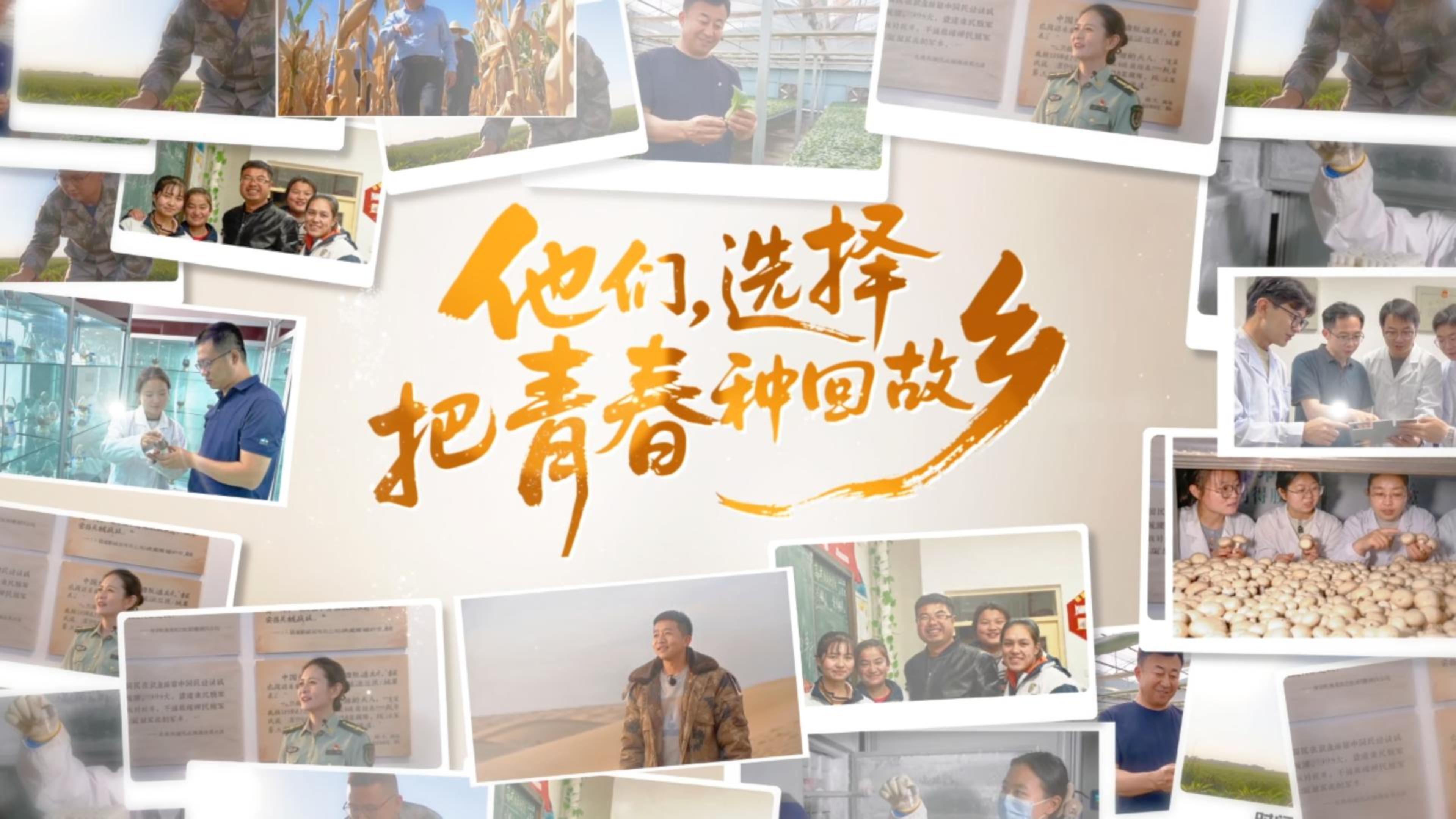 青春华章·丝路逐光|他们,选择把青春种回故乡